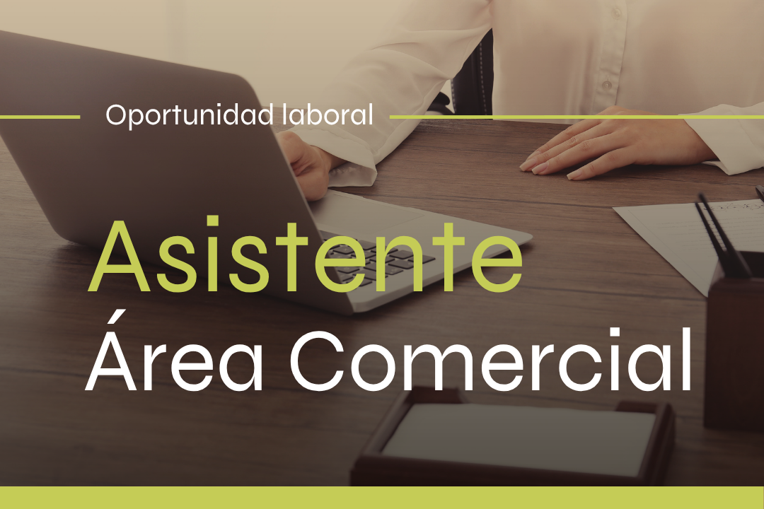 Asistente Área Comercial | Indelama